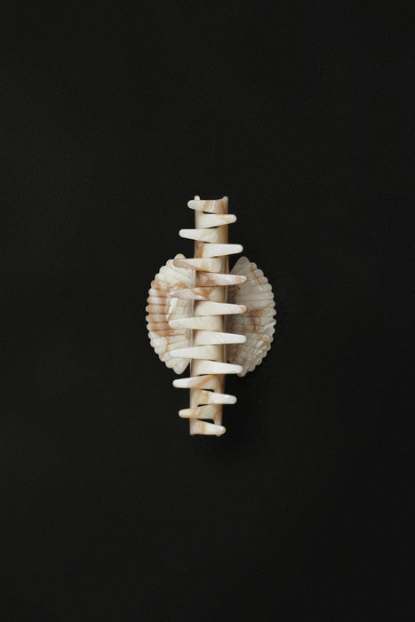 SOPHIE BUHAI<br>FAN SHELL CLAW<br>Alabaster