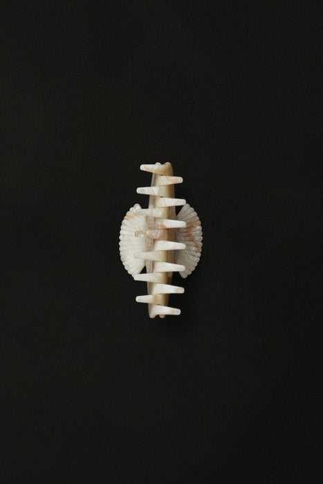 SOPHIE BUHAI<br>SMALL FAN SHELL CLAW<br>Alabaster