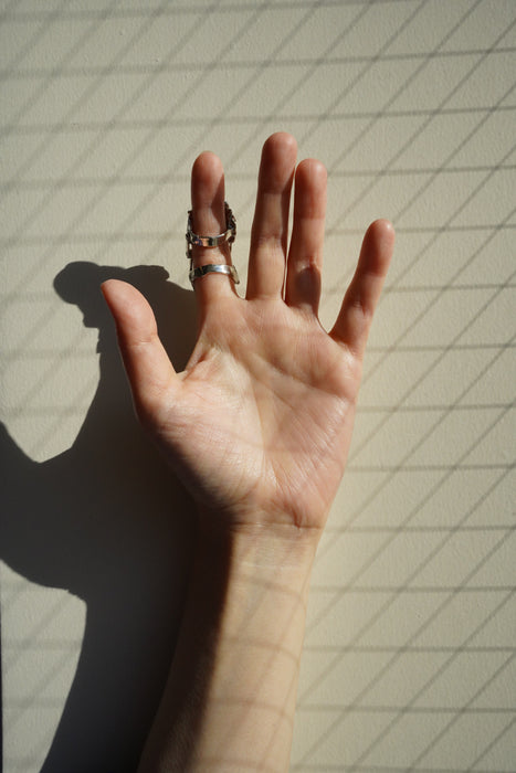 Claudia Lepik<br>CAST BIT ARTICULATED RING