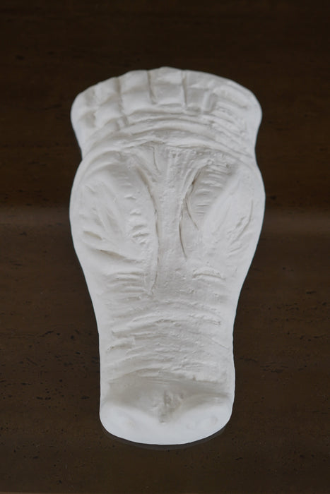 CRISTASEYA <br>CROCODILLO<br>in WHITE