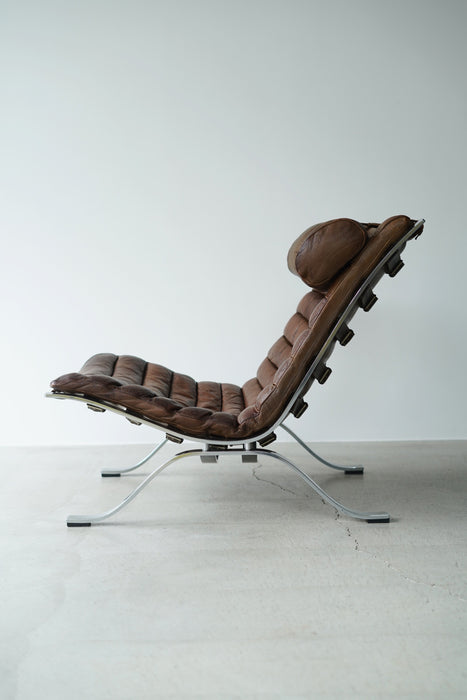 ARNE NORELL<BR>ARI