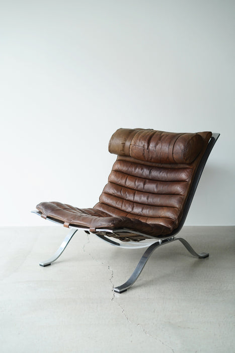 ARNE NORELL<BR>ARI