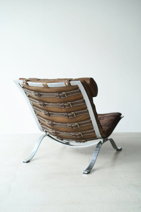 ARNE NORELL<BR>ARI