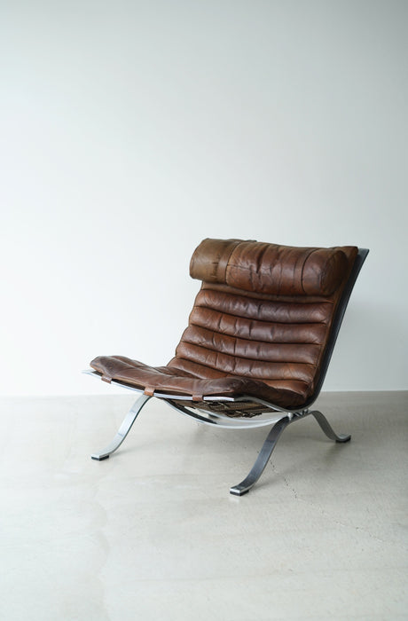 ARNE NORELL<BR>ARI