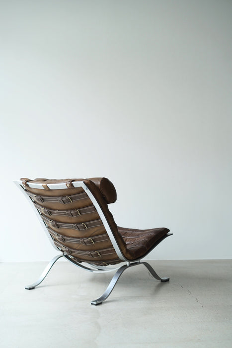 ARNE NORELL<BR>ARI