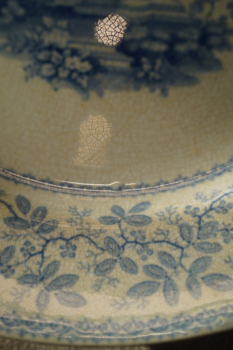 Antique W Ridgway Plates