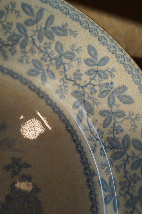 Antique W Ridgway Plates