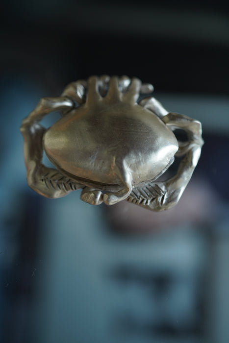 Zoe Mohm for CRISTASEYA<BR>CRAB BOX HAMMERED<BR><BR>SOLD OUT