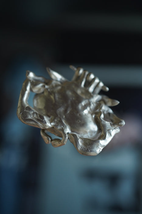 Zoe Mohm for CRISTASEYA<BR>CRAB BOX HAMMERED<BR><BR>SOLD OUT