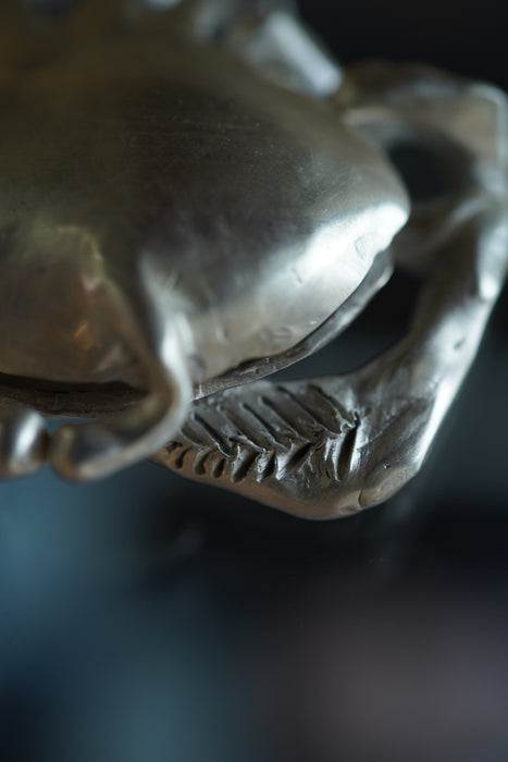 Zoe Mohm for CRISTASEYA<BR>CRAB BOX HAMMERED<BR><BR>SOLD OUT