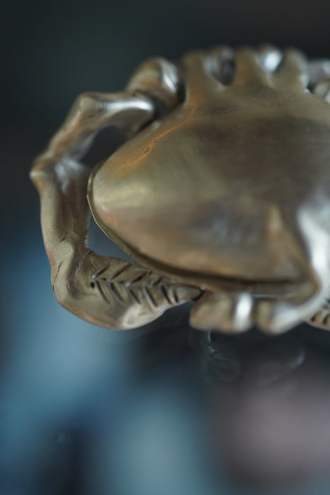 Zoe Mohm for CRISTASEYA<BR>CRAB BOX HAMMERED<BR><BR>SOLD OUT