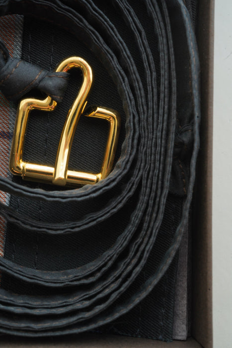 AXEP<br>BUCKLE mini <br>in GOLD